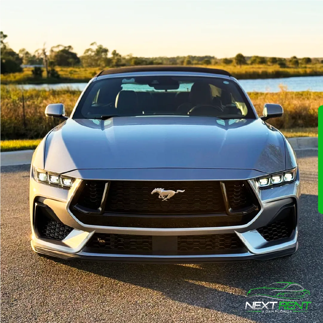Ford Mustang EcoBoost Premium Gris