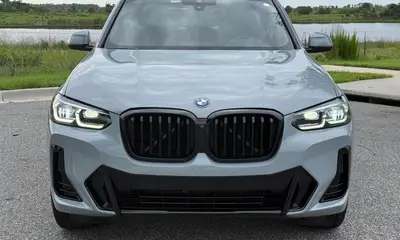 BMW X3 sDrive30i Cinza | 5 Lugares